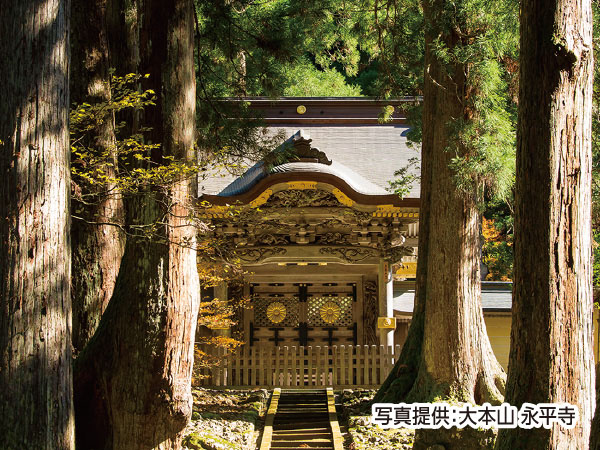 大本山永平寺と平泉寺白山神社(2026)