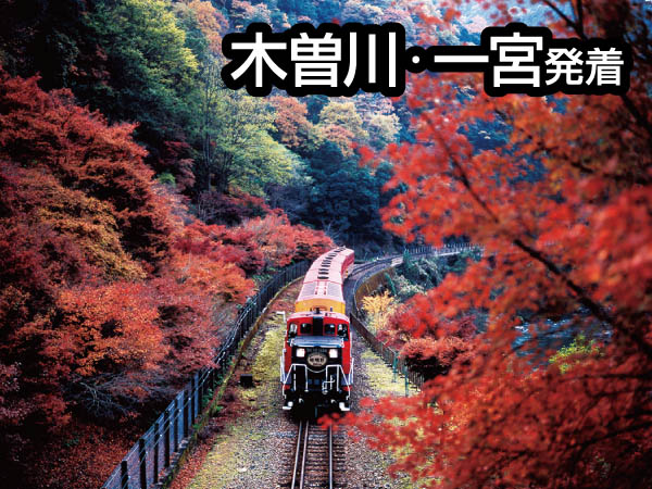 嵯峨野トロッコ列車(2026)