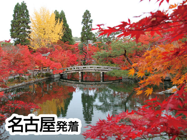 京都南禅寺・永観堂と智積院(2026)