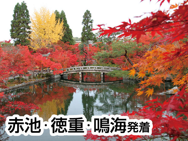 京都南禅寺・永観堂と智積院(2026)