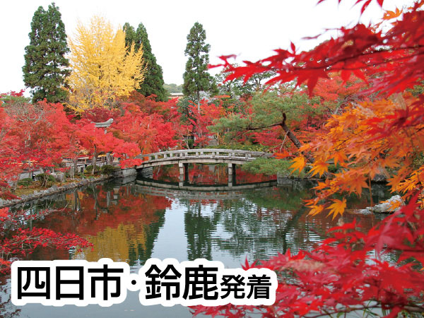 京都南禅寺・永観堂と智積院(2026)