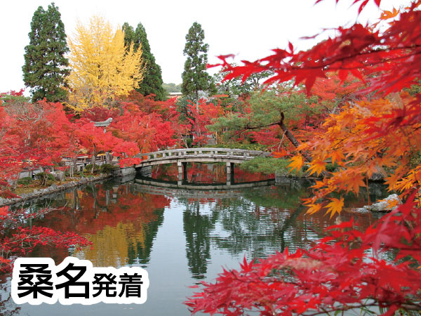 京都南禅寺・永観堂と智積院(2026)