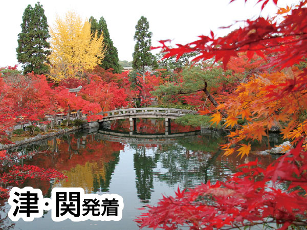 京都南禅寺・永観堂と東寺五重塔(2026)