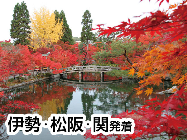 京都南禅寺・永観堂と東寺五重塔(2026)