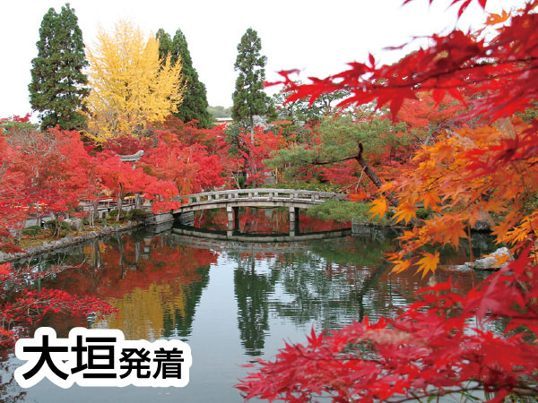 京都南禅寺・永観堂(2026)