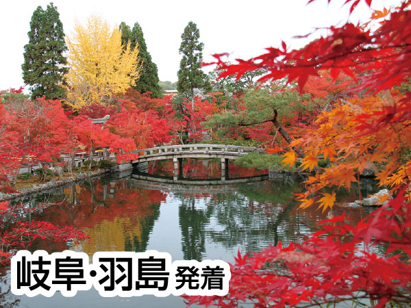 京都南禅寺・永観堂(2026)