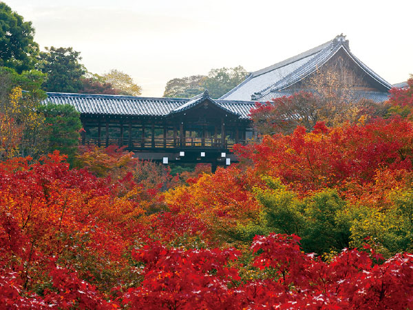 渓山閣 松茸会席と東福寺(2026)