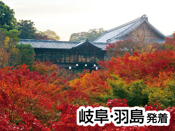 渓山閣 松茸会席と東福寺(2026)
