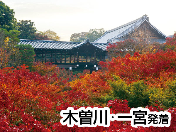 渓山閣 松茸会席と東福寺(2026)