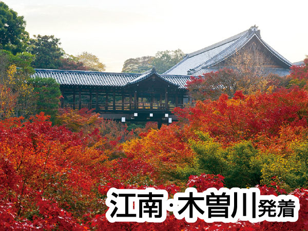 渓山閣 松茸会席と東福寺(2026)