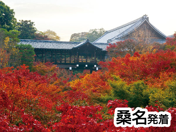 渓山閣 松茸会席と東福寺(2026)