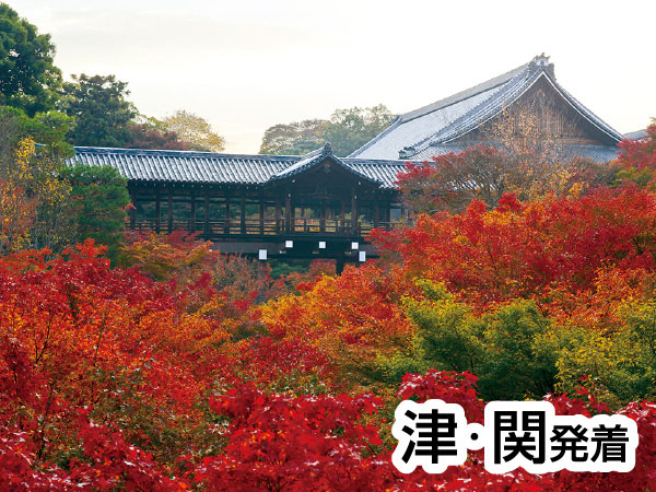 渓山閣 松茸会席と東福寺(2026)