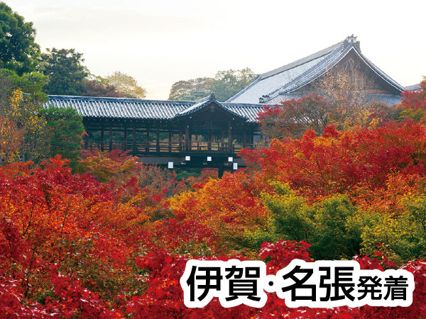 渓山閣 松茸会席と東福寺(2026)