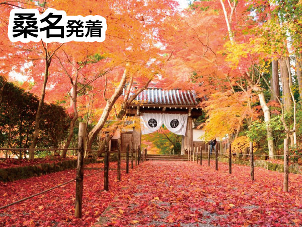 光明寺もみじと京丹波・八光亭(2026)