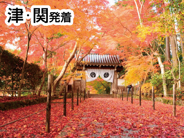 光明寺もみじと京丹波・八光亭(2026)