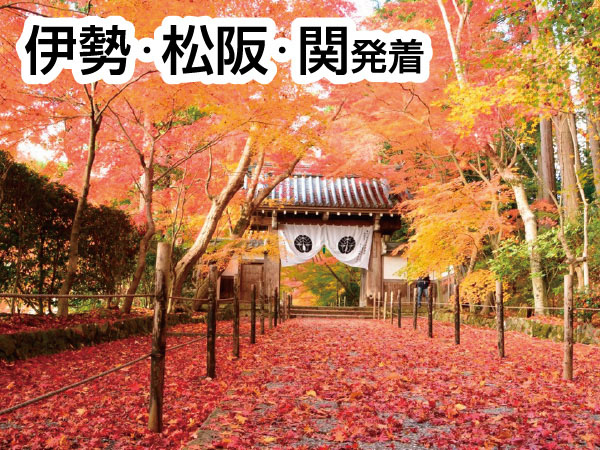 光明寺もみじと京丹波・八光亭(2026)