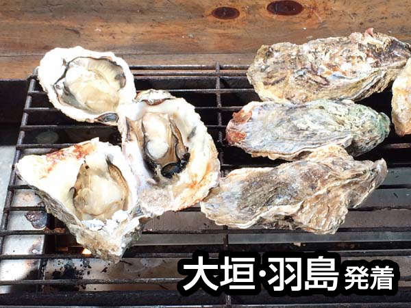 鳥羽浦村焼きカキ食べ放題(2026)