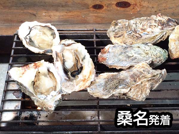 鳥羽浦村焼きカキ食べ放題(2026)