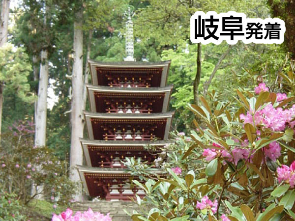 奈良四寺巡礼・第2回長谷寺と室生寺(2026)