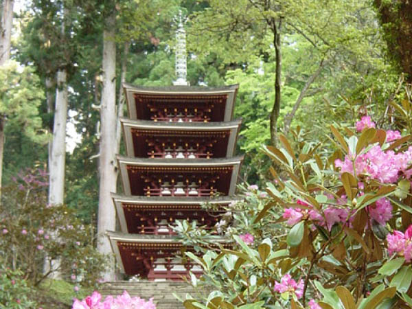 ツアーイメージ