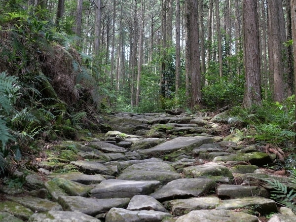 熊野古道・馬越峠(23初秋)