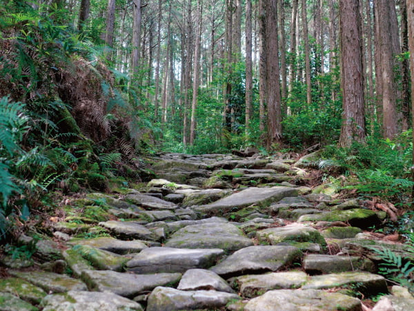 【交通・観光連携型事業】熊野古道 馬越峠