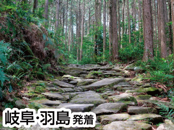 【交通・観光連携型事業】熊野古道 馬越峠