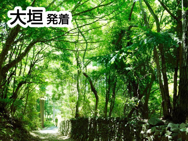熊野古道・荷坂峠道(2024)
