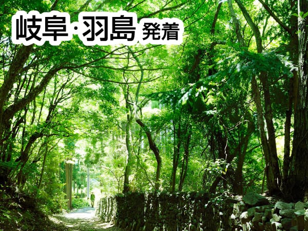 熊野古道・荷坂峠道(2024)