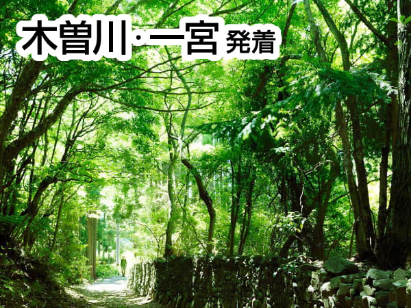 熊野古道・荷坂峠道(2024)