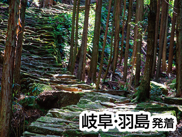熊野古道・松本峠とさんま祭り(2025)