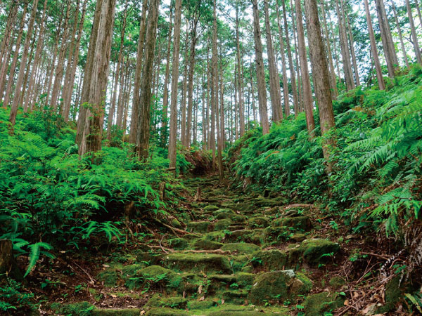 熊野古道 伊勢路「ヨコネ道と三木峠」(25)
