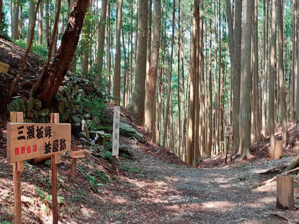 熊野古道ウォーク・三瀬坂峠(2025)