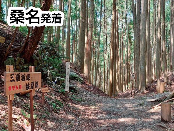 熊野古道ウォーク・三瀬坂峠(2025)