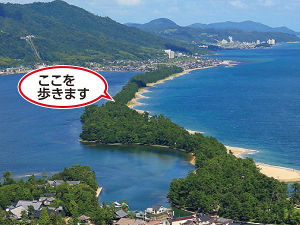 天橋立通り抜けウォーク(2025)