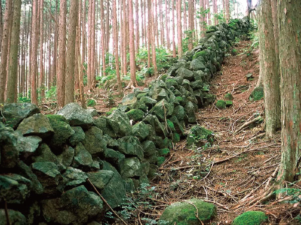 熊野古道・羽後峠(2026)