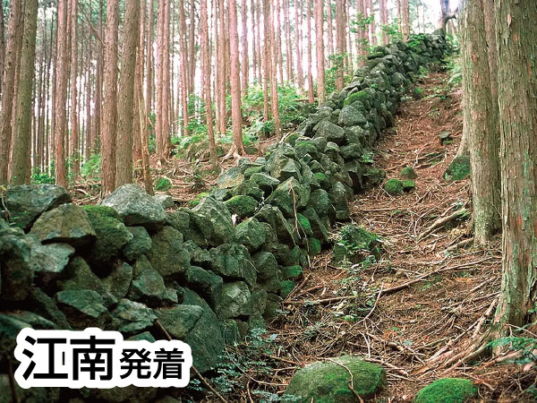 熊野古道・羽後峠(2026)