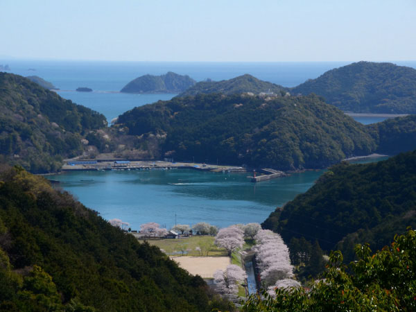 熊野古道・始神峠(2026)