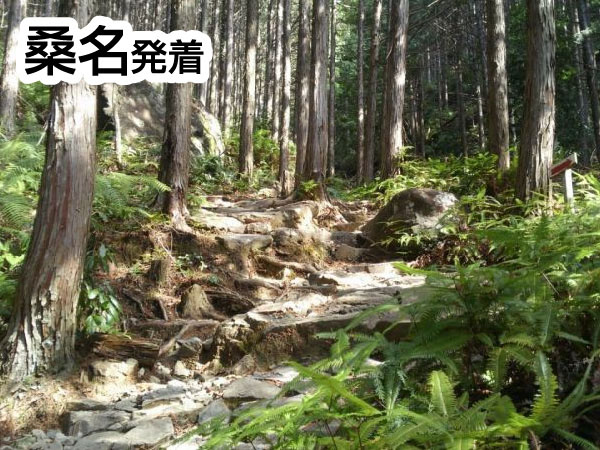 熊野古道・ツヅラト峠(2026)