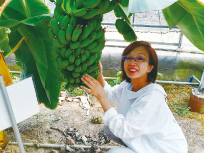 産業観光・知多バナナ園＆白だし工場(2020)
