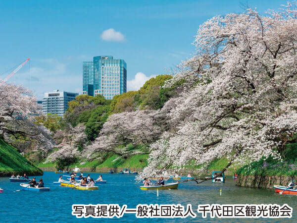 【宿泊】東京桜めぐり