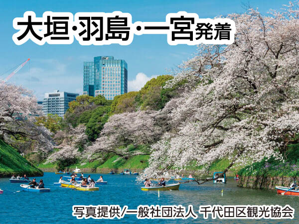 【宿泊】東京桜めぐり