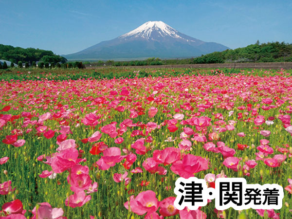 【宿泊】名湯石和温泉よくばり旅