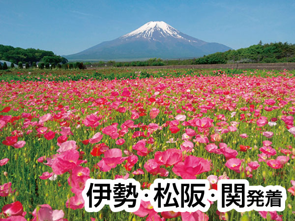 【宿泊】名湯石和温泉よくばり旅