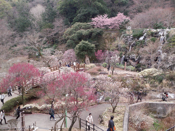 【宿泊】熱海梅まつりと小田原・江の島