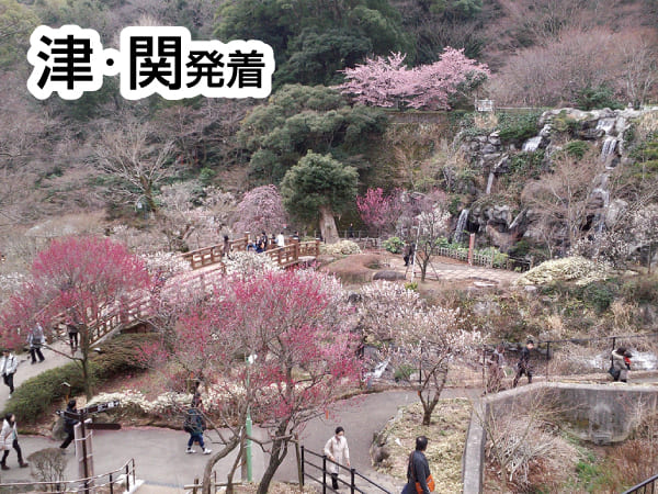 【宿泊】熱海梅まつりと小田原・江の島