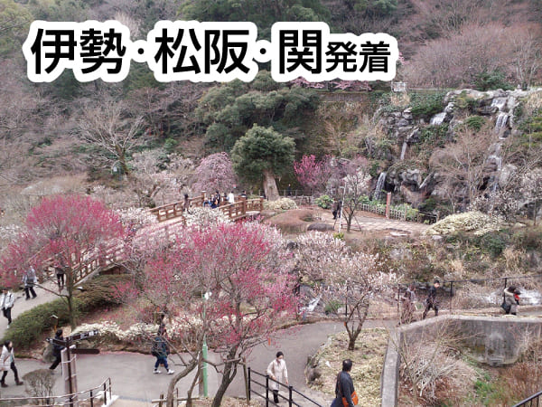 【宿泊】熱海梅まつりと小田原・江の島