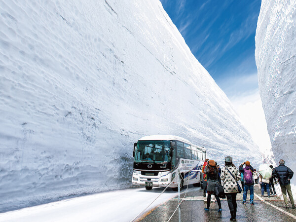 【宿泊】雪の大谷と砺波ﾁｭｰﾘｯﾌﾟﾌｪｱ(2025)