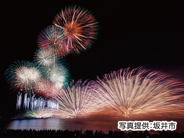 【宿泊】三国花火(2025)