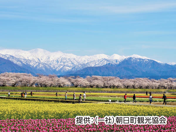 【宿泊】あさひ舟川春の四重奏